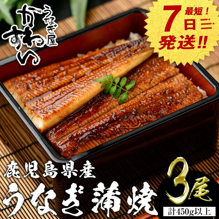 【ふるさと納税】【7営業日以内に発送！】＜うなぎ屋かわすい＞鹿児島県産 国産うなぎ蒲焼 (計450g以上 / 1本あたり150～169g×3本) タレ入り 鰻 ウナギ うなぎ うな重 鹿児島県産 冷凍 かわすい 【川口水産】