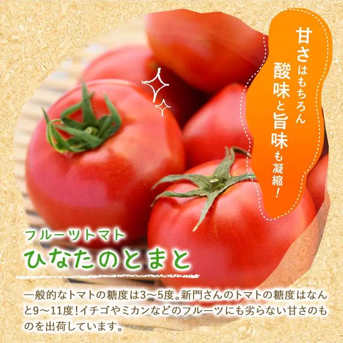 ＜先行予約受付中！2027年1～5月の間に発送予定＞ひなたのとまと(1.1kg)野菜 冷蔵 国産 【A-4】【新門トマト農園】