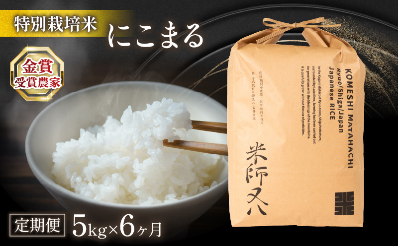 
            【 先行予約 】 新米 定期便 にこまる 5kg×6ヶ月 ( 令和7年産 計30kg 2025年産 ブランド 米 rice 精米 白米 ご飯 内祝い 十六代目米師又八 謹製 もちもち 国産 送料無料 滋賀県 竜王 ふるさと納税 )
          