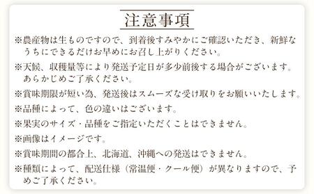 定期便全3回 【7月・8月・9月発送】 和歌山の夏のフルーツをお届け（桃・梨・たねなしピオーネ）【TM179】
