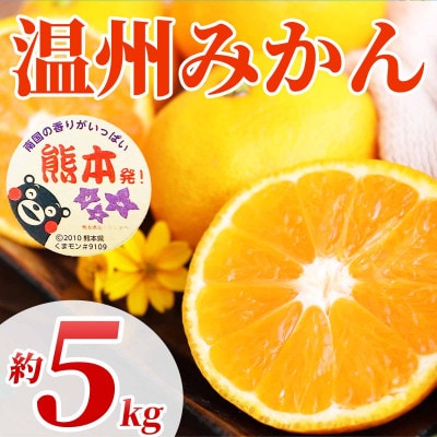 温州みかん 2S～2L 約5kg(宇城市)【1638950】