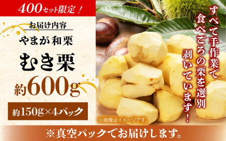 先行予約 やまが和栗 大粒むき栗 約600g（約150g×4pc）古川農園 くり 栗[ZES001]