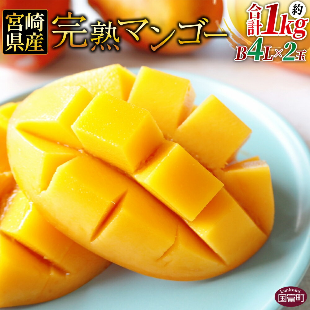 【ふるさと納税】数量限定【2026年発送】＜宮崎県産 完熟マンゴー B等級 4Lサイズ×2玉（合計 約1kg）＞※入金確認後、2026年4月上旬〜2026年6月下旬迄に順次出荷 JAみやざき 国産 マンゴー 果物 果実 フルーツ 甘い JAみやざき 宮崎県 国富町 【冷蔵】