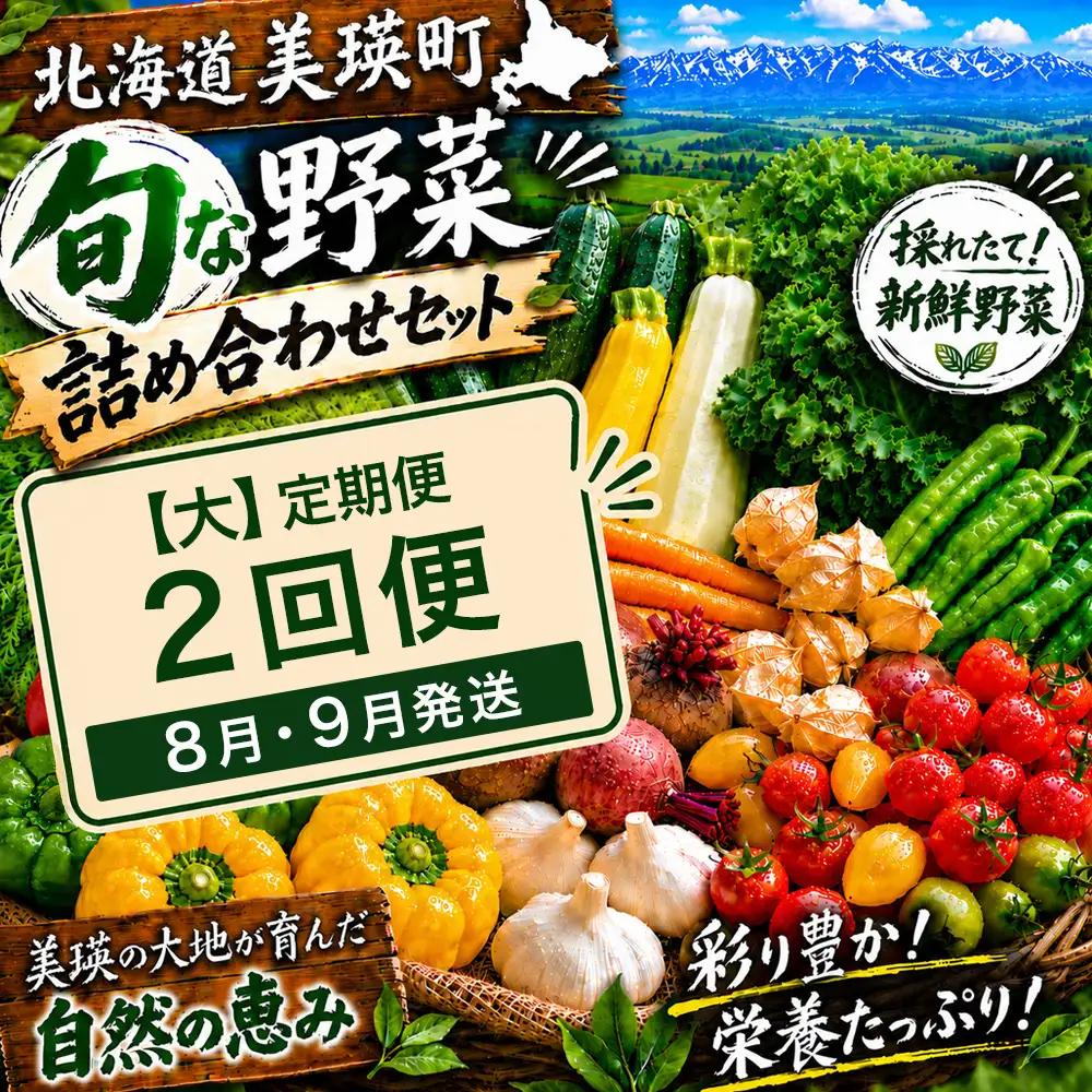 季節の野菜セット【大】定期便 2回便 8月 9月発送 旬野菜 詰め合わせ あらいふぁーむ
