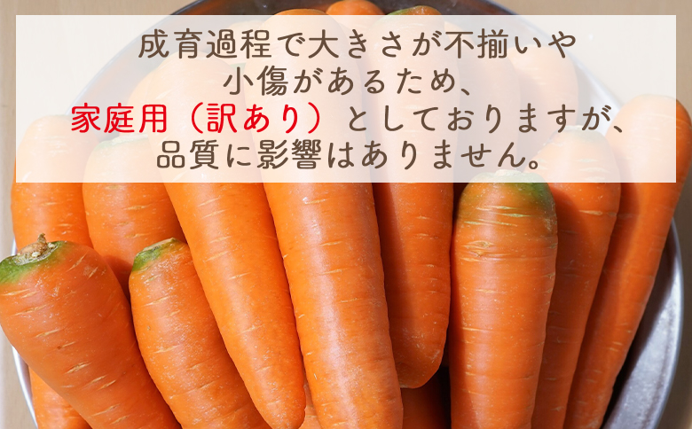 【2025年11月以降発送】にんじん 7kg 家庭用 - 国産 野菜 青果 人参 ジュース キャロット ご家庭用 不揃い 傷 やすらぎ市 高知県 香南市 冷蔵 yr-0084