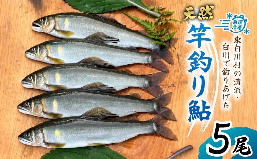 清流白川 天然鮎 5尾 冷凍 鮎 あゆ アユ 川魚 真空パック 竿釣り 川釣り おかず グルメ BBQ