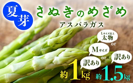 
            【選べるサイズ・容量・訳あり】夏芽 さぬきのめざめ アスパラガス M・Lサイズ 訳あり 1～1.5kgアスパラ サラダ お弁当 おかず フレッシュ 新鮮 琴平 香川 F5J-768
          