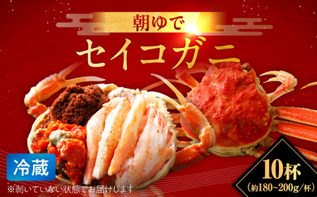 【先行予約/11月7日より順次発送】朝ゆで国産セイコガニ　10杯 [BFAA005] 【配送不可地域：北海道・沖縄・離島】 