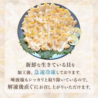 ふるさと納税 石巻市 <先行予約> つぶ貝 刺 つぶ刺し 900g ツブ貝 ツブ刺し おつまみ 簡単調理 小分け 酒の肴 |  | 01