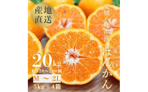 ＜南国を感じさせる独特の香り＞愛媛ポンカン 20kg＜H20-70＞【1620342】 YWTI065