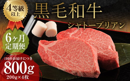 【6ヶ月定期便】 くまもと 黒毛和牛 シャトーブリアン 800g（200g×4枚） 牛肉 牛 肉