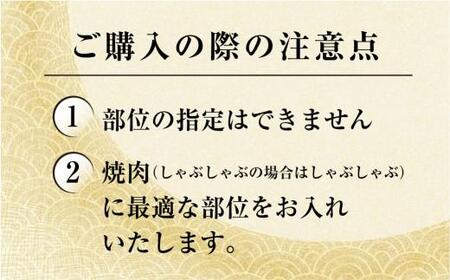 飛騨ジビエ 熊肉 しゃぶしゃぶ 300g 熊 肉 クマ クマ肉 ジビエ 鍋用 薄切り 猟師 肉 飛騨狩人工房 うり坊屋 飛騨高山  TR3535