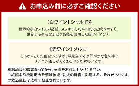 平尾台白ワイン・シャルドネ（730ml）と 平尾台赤ワイン メルロー（750ml） 2本セット ワイン 飲み比べ 赤白ワイン セット お酒