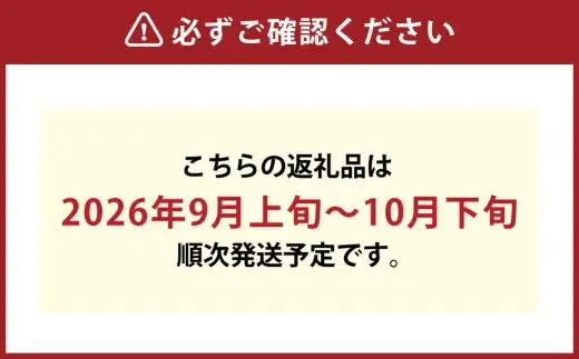 訳あり つる付きニューピオーネ 3房 （ 1房 530g以上 ） 露地栽培 ニューピオーネ つる付き 果汁 果物 くだもの 果実 フルーツ 葡萄 ぶどう ブドウ 【 2026年9月上旬～10月下旬発送