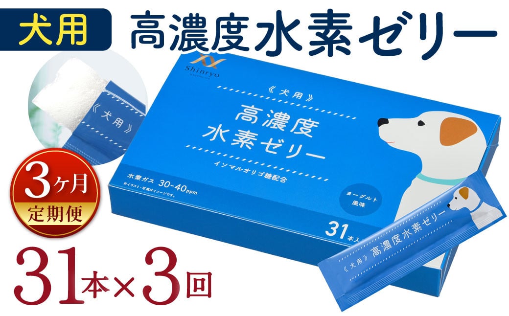 【3ヶ月定期便】 高濃度 水素ゼリー 犬用 31本入り × 3回 (1本5g) 水素 ゼリー ごはん おやつ 犬 愛犬 健康食品 サプリ ヨーグルト風味 持ち運び 携帯 ペット