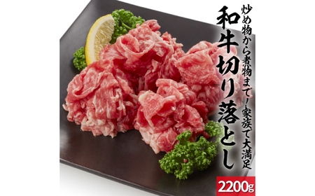 佐賀県産和牛切り落とし 計2.2kg（550g×4パック） / 炒め物 牛丼 / 佐賀県 / 上場食肉[41AOCS056]