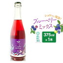 【ふるさと納税】ブルーベリー ミックス 375ml×1本 Fukiware Cidrerie