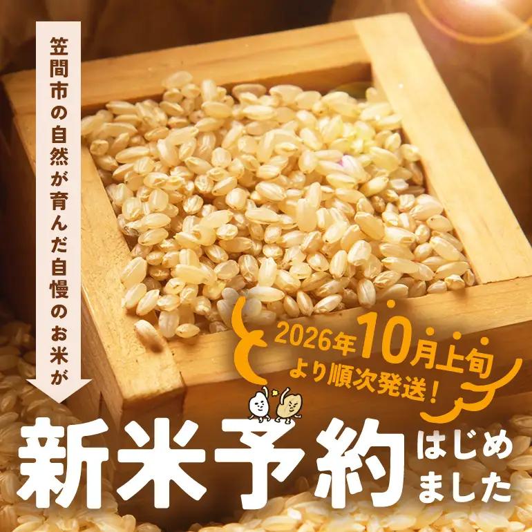 玄米 米 30kg 令和8年産 にじのきらめき お米 FH-028-N