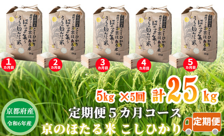 【新米】【定期便5カ月コース】京都丹波産こしひかり 西村ファームの京ほたる米 5kg×5回計25㎏[高島屋選定品］076N634 【令和6年産新米】