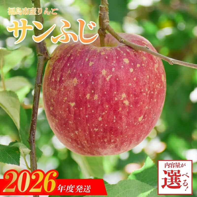 【ふるさと納税】 りんご「サンふじ」【2026年度発送】 選べる 内容量 約3kg 約5kg 約10kg