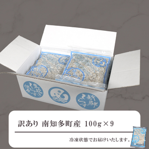 訳あり ちりめんじゃこ 冷凍 小分け 100g×9P ちりめん じゃこ 海鮮 海産物 ふりかけ 佃煮 つくだに 魚 海鮮 ごはん 米 しらす おやつ さかな ご飯のお供 海の幸 魚介類 チャーハン 乾