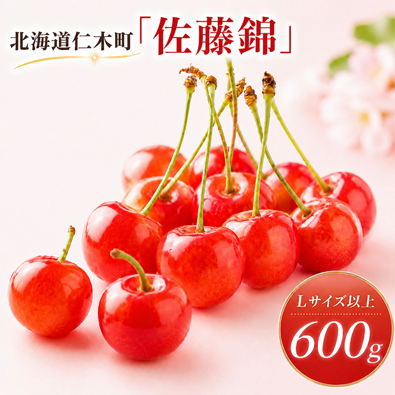 2027年発送 北海道 仁木町産 さくらんぼ 佐藤錦 600g (300g×2パック) Lサイズ以上  旬 桜桃 産地直送 サクランボ チェリー フルーツ 果物 果物類 仁木町 仁木 [松山商店]