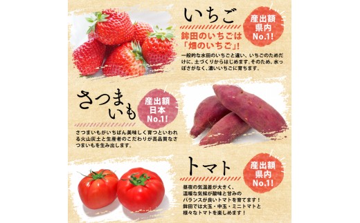 さつまいも 紅はるか 約 8kg 【12月上旬～2月下旬発送】 訳あり サツマイモ さつま芋 甘藷 生芋 いも 芋 イモ 焼き芋 やきいも 不揃い 規格外 野菜 おやつ 旬 農家直送 茨城県 鉾田市 大洋まいたけセンター