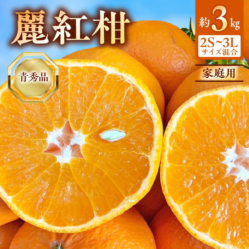 【ふるさと納税】【2026年先行受付】 麗紅柑 (れいこう) 青秀品 (家庭用) 2S～3Lサイズ 3kg 和歌山有田産 【ミカン 柑橘 麗紅 有田みかん 和歌山 】