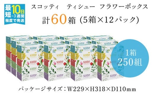 スコッティ ティシュー フラワーボックス 250組 60箱 (1ケース5箱×12パック)  ボックスティッシュ 60箱 ティッシュ ティシュー 長持ち 大容量 リピート 高品質 素敵 保管 クレシア ティッシュペーパー 紙 日用品 消耗品 生活必需品 まとめ買い ふるさと納税 箱ティッシュ 家庭用 防災 常備品 ストック 京都府 福知山市
