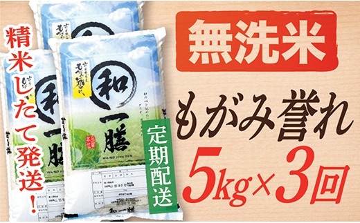 
                  【定期便】【無洗米】 令和8年産予約 もがみ誉れ 5kg (5kg×1)  3回配送
                