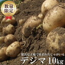 【ふるさと納税】BG093【令和7年度出荷分】肥沃な土地で育まれたじゃがいも 10kg デジマ ＜数量限定＞ 【 じゃがいも ジャガイモ 野菜 10キロ 有馬農園 長崎県 島原市 】