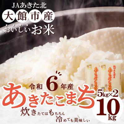 ふるさと納税 大館市 【令和6年産】秋田県大館産あきたこまち　10kg(5kg×2)