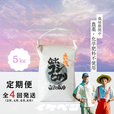 ふるさと納税 佐渡市 【発送月固定定期便】新潟県佐渡産【在来コシヒカリ】白米 5kg全4回