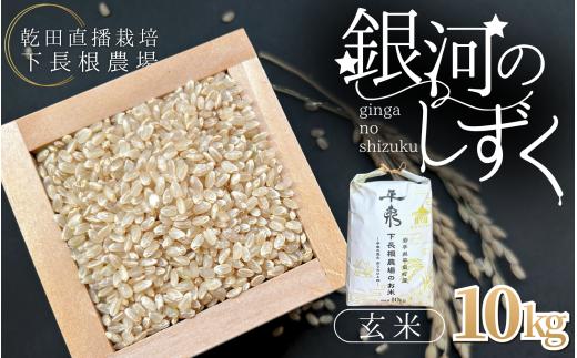 【予約販売】令和8年 平泉町産 銀河のしずく 玄米10kg / こめ 乾田直播 コメ 乾田直播栽培米 銀河のしずく 米 お米 おこめ 玄米 ご飯 ごはん ライス【sim004】