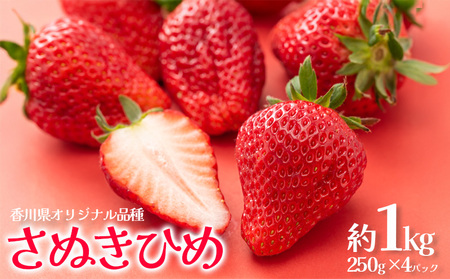 いちご 苺 さぬきひめ 約1kg 苺