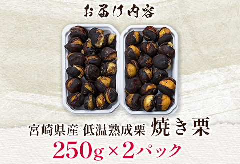 ＜先行予約＞宮崎県産 低温熟成栗［焼き栗］計500g（250g×2パック）おやつ 秋の味覚 お取り寄せ 【B617-25】