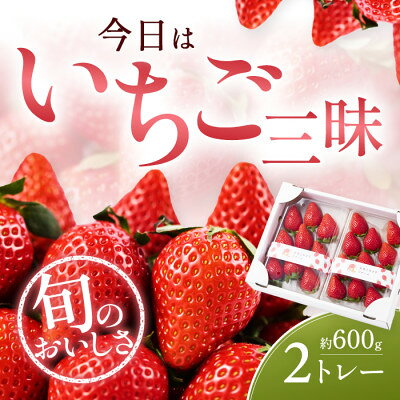 【ふるさと納税】【先行予約 2027年1月中旬以降発送】旬の品種を厳選 至福の完熟いちご 約600g【配送不可地域：離島・沖縄県】【1778755】