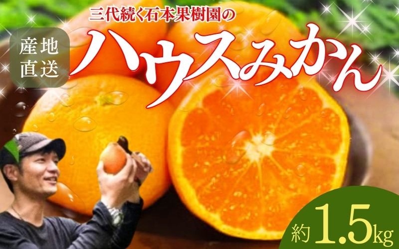 
            【先行予約】石本果樹園の美味しいハウスみかん 約1.5kg 12～15玉前後 化粧箱入り【7月初旬から8月初旬までに順次発送】 / みかん フルーツ くだもの 果物 ハウスみかん 贈答
          