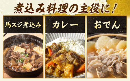 馬肉 馬スジ 500g × 2パック 1kg 五右衛門フーズ 《60日以内に出荷予定(土日祝除く)》 熊本県 球磨郡 山江村 馬肉 肉 国産 スジ カレー 煮込み おでん おかず 送料無料