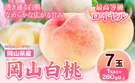 桃 岡山白桃 7玉【配送不可地域あり】 《7月上旬-8月末頃に出荷予定》｜桃桃桃桃
