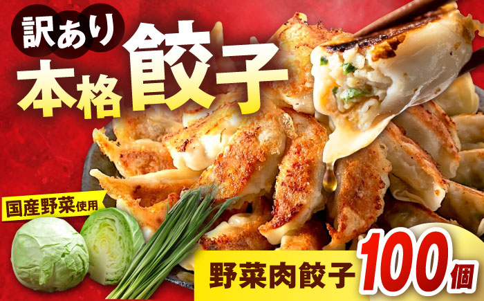 訳あり 本格餃子 100個セット 【株式会社オウモリ食品】 [AKHQ002]