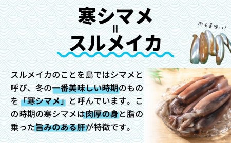 【のし付き スルメイカ丸ごと】朝どれ寒シマメ特大サイズ 丸ごと3杯セット 1kg?1.2kg いか イカ スルメイカ CAS CAS冷凍 年末年始 お正月 お歳暮 御歳暮 ギフト