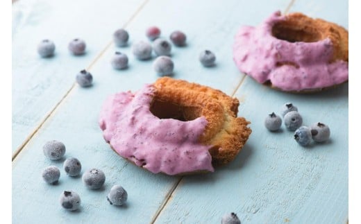 
            【能登半島地震】ブルーベリードーナツ詰め合わせ　12個
          