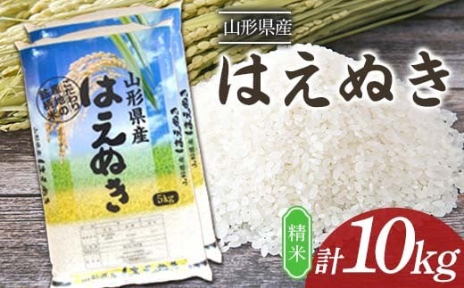 
            はえぬき 10kg (5kg×2袋) 山形県産 精米 【令和7年産】 F2Y-4604
          