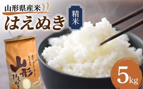 《先行予約》山形県産米 はえぬき 5kg 精米 米 お米 おこめ 山形県 新庄市 F3S-1710