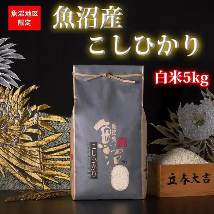 【頒布会・令和8年産 新米予約】魚沼産コシヒカリ（白米5kg×全12回）【新潟県 特A地区】｜新潟　魚沼　コシヒカリ　定期便　5kg　12回　米　白米