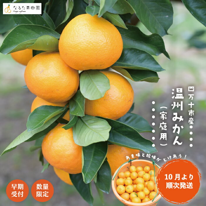 【ふるさと納税】 【 早期受付 期間限定 数量限定 】 温州みかん 3kg～10kg 家庭用 人気 フルーツ 果物 みかん ミカン 蜜柑 ジューシー 果汁 甘い 酸味 限定品 高知県 高知 四万十市 四万十 しまんと お取り寄せ 産地直送 送料無料【配送時期：2025年10月～11月末】