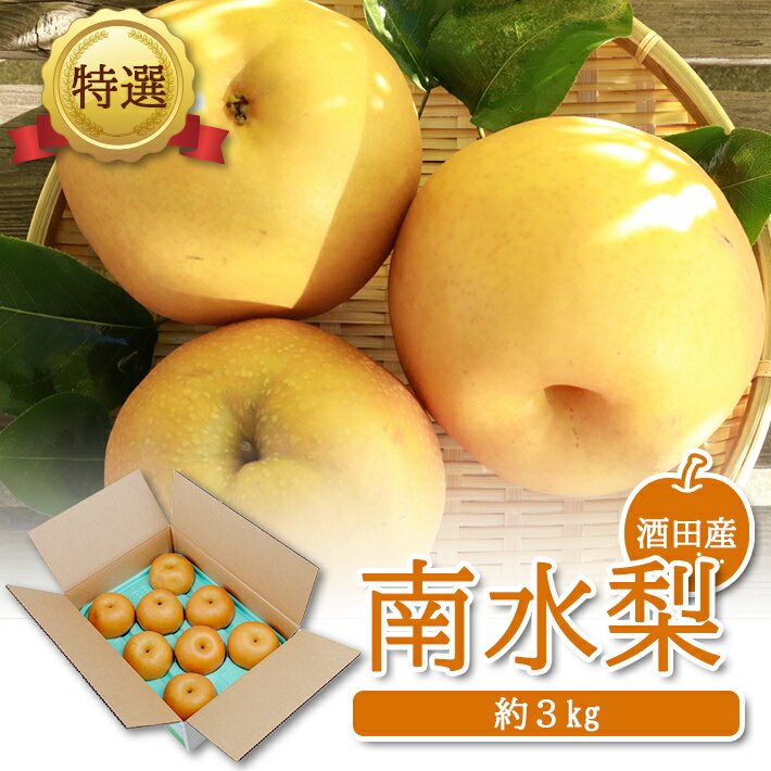 【ふるさと納税】特選 南水梨 約3kg（5〜9玉入） 山形県酒田市産 10月上旬〜10月下旬頃お届け ※着日指定不可 和梨 ナシ 梨 なし 南水 東北 山形県 酒田市 庄内 秋 旬 フルーツ
