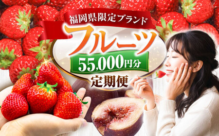 【全4回定期便】フルーツ定期便 5万5千円コース (あまおう3種＆いちじく) 《豊前市》【豊前市定期便】[VZZ016]