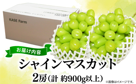 訳あり シャインマスカット  2房 計 900g 数量限定 シャインマスカット